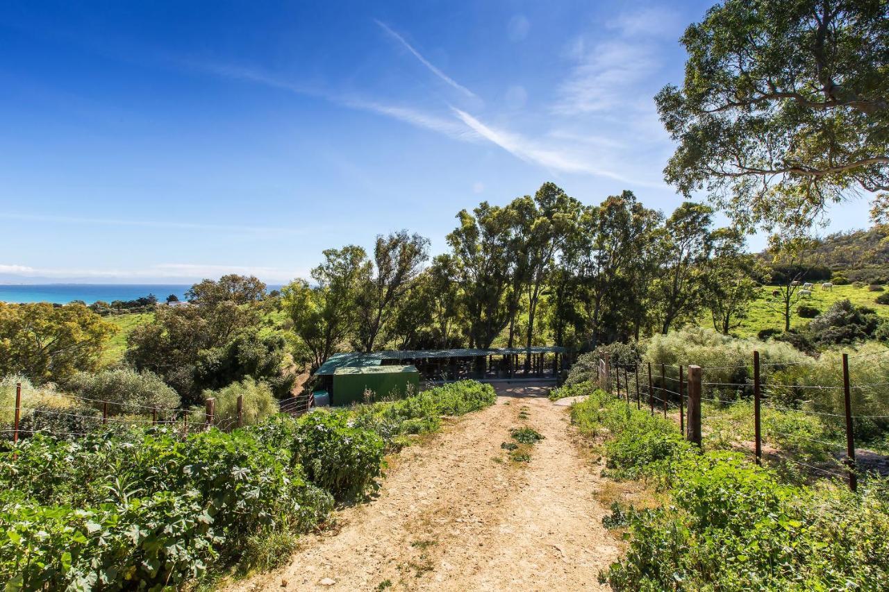 Appartamento Casita Rural En Centro De Hipica Tarifa Esterno foto