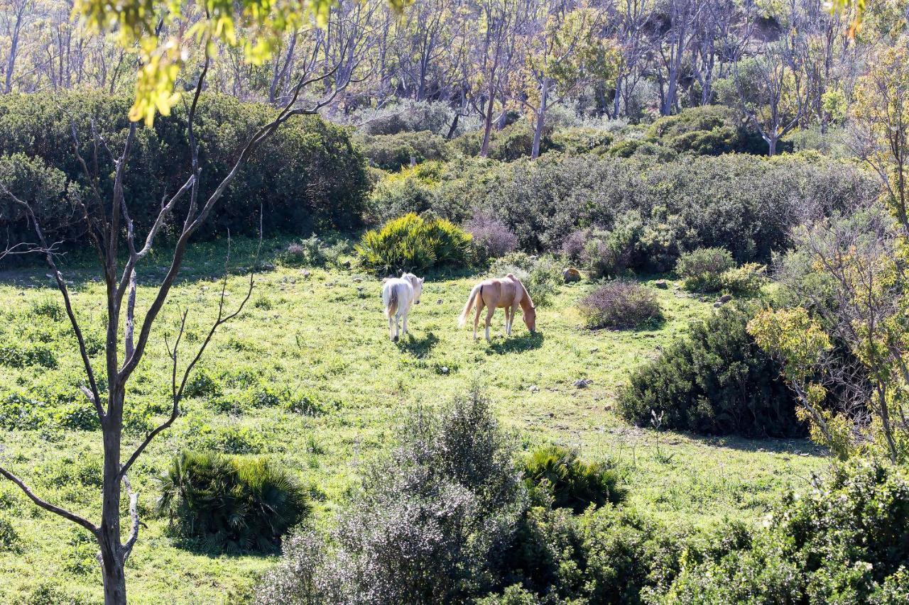 Appartamento Casita Rural En Centro De Hipica Tarifa Esterno foto
